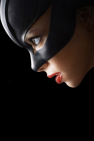 Das Catwoman DC Comics Wallpaper 320x480
