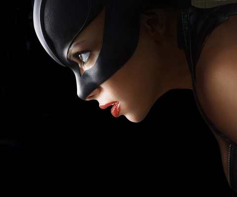 Das Catwoman DC Comics Wallpaper 480x400