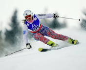 Das Skiing XXII Olympic Winter Games Wallpaper 176x144