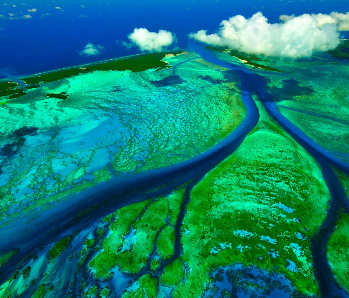 Fondo de pantalla Aldabra Atoll, Seychelles Islands 1200x1024