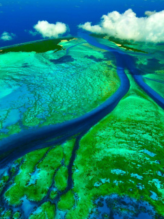 Screenshot №1 pro téma Aldabra Atoll, Seychelles Islands 240x320