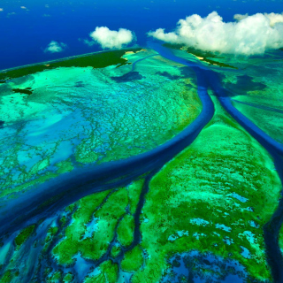 Aldabra Atoll, Seychelles Islands sfondi gratuiti per 128x128