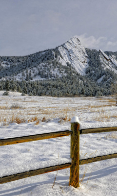 Chataqua Snow, Boulder Flatirons, Colorado wallpaper 240x400