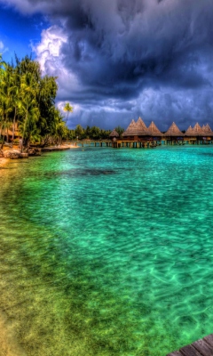 Bora Bora Beach In Paynes Bay screenshot #1 240x400