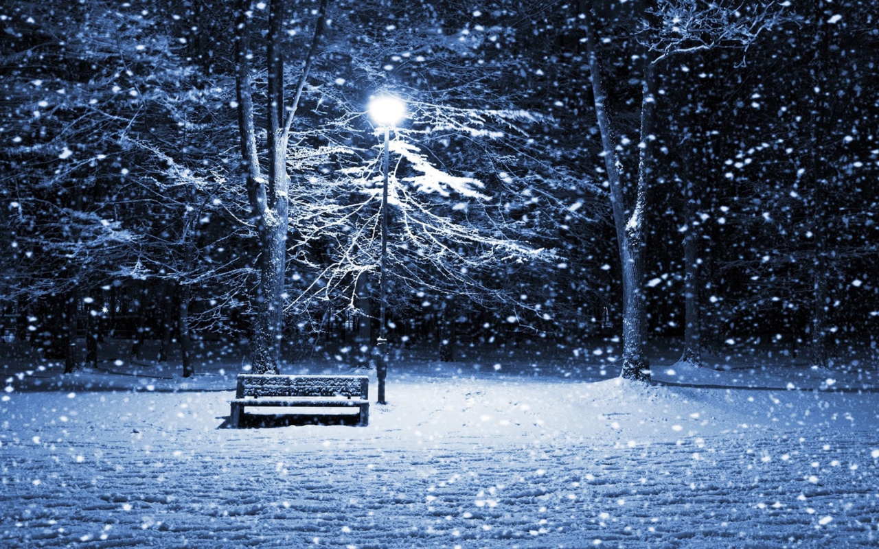 Sfondi Lonely Bench In Snowy Night 1280x800