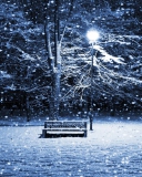 Обои Lonely Bench In Snowy Night 128x160