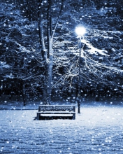 Обои Lonely Bench In Snowy Night 176x220