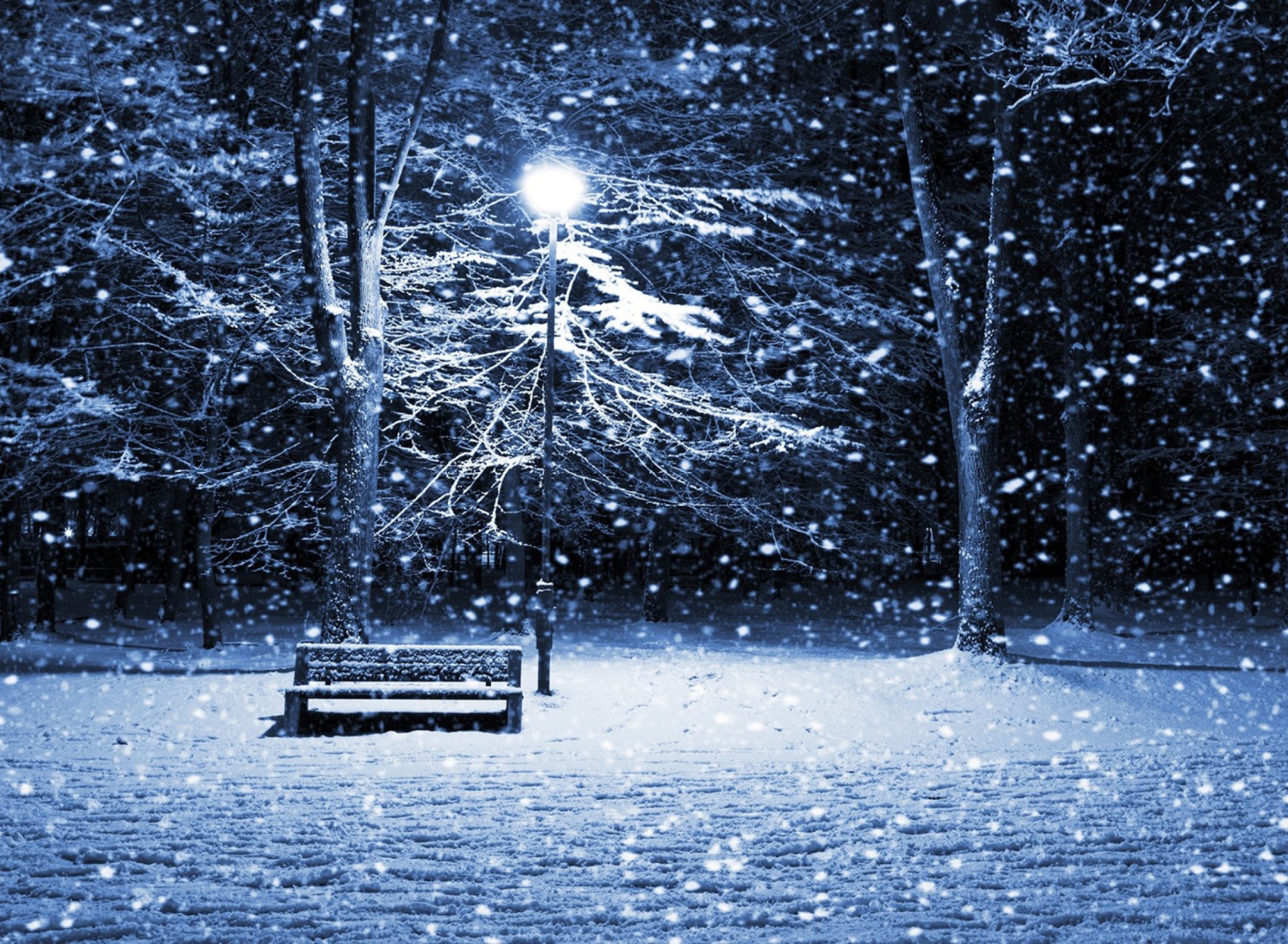 Обои Lonely Bench In Snowy Night 1920x1408