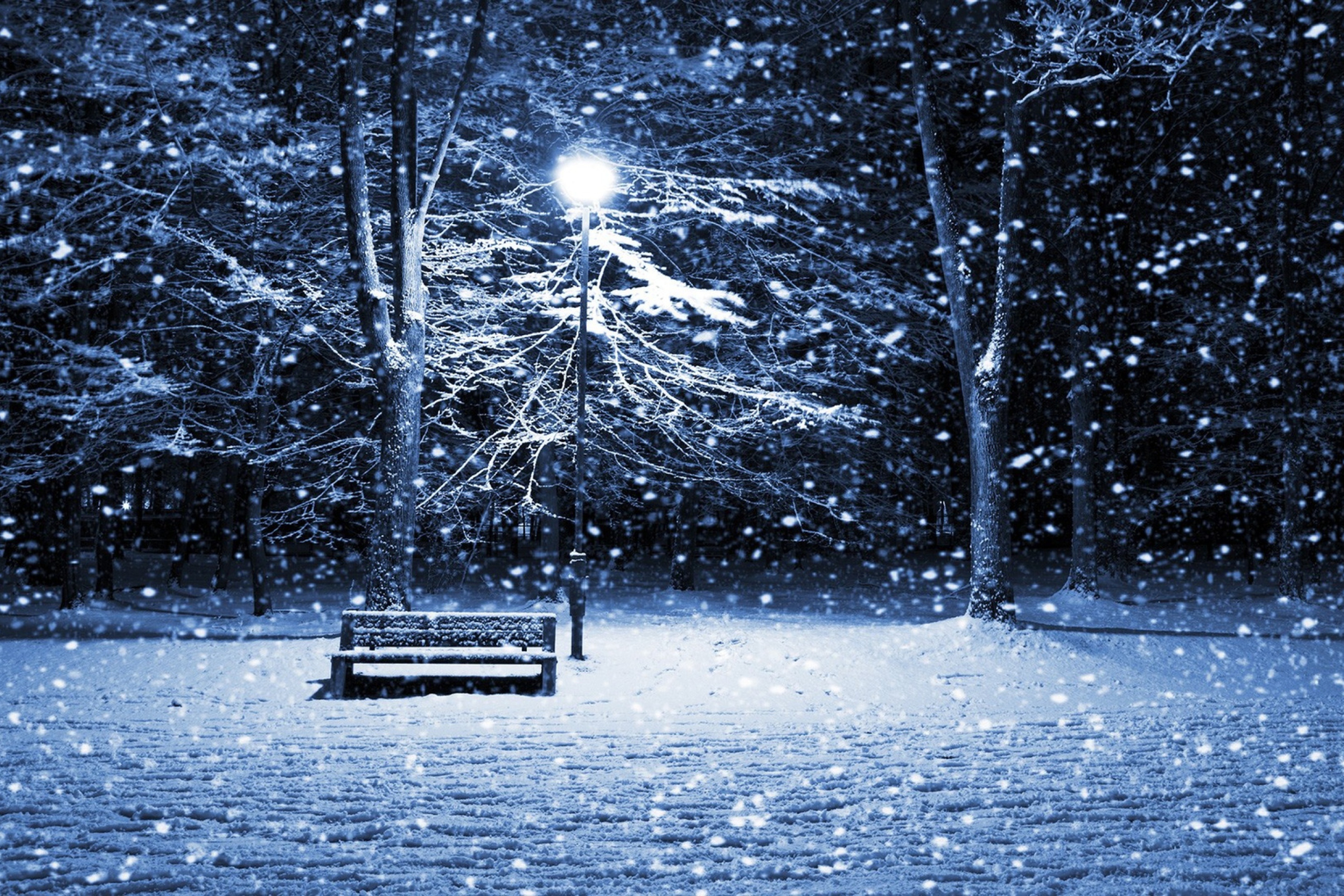 Обои Lonely Bench In Snowy Night 2880x1920