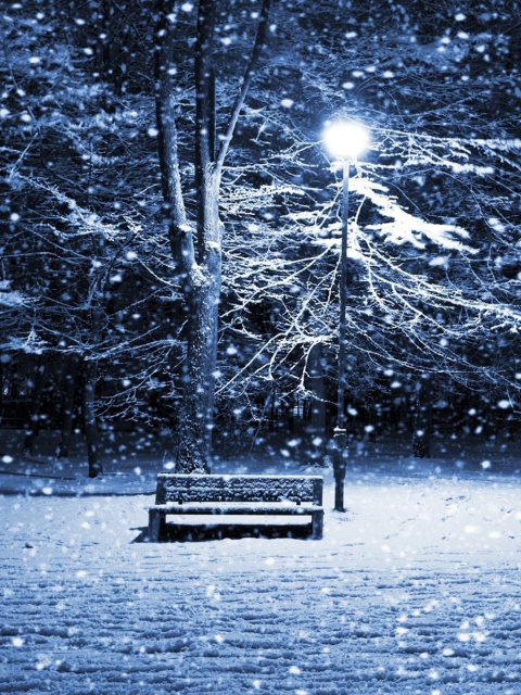 Обои Lonely Bench In Snowy Night 480x640