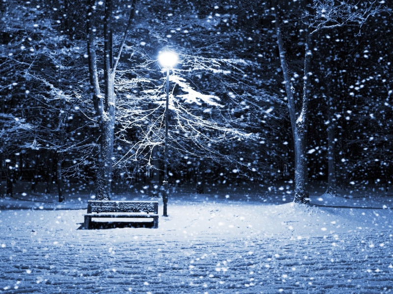 Lonely Bench In Snowy Night wallpaper 800x600