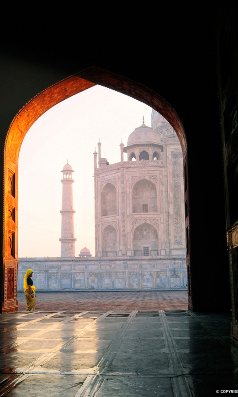 Fondo de pantalla Taj Mahal, India 480x800