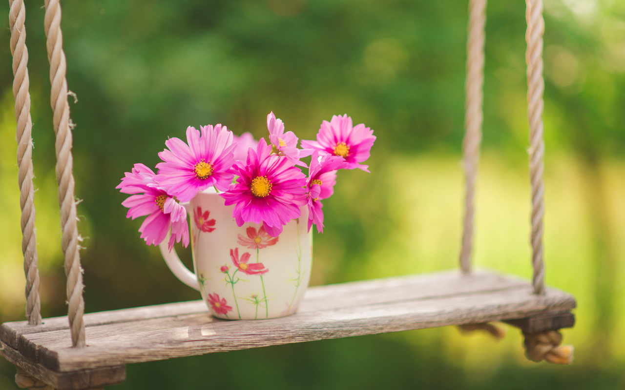 Pink Daisies In Mug wallpaper 1280x800