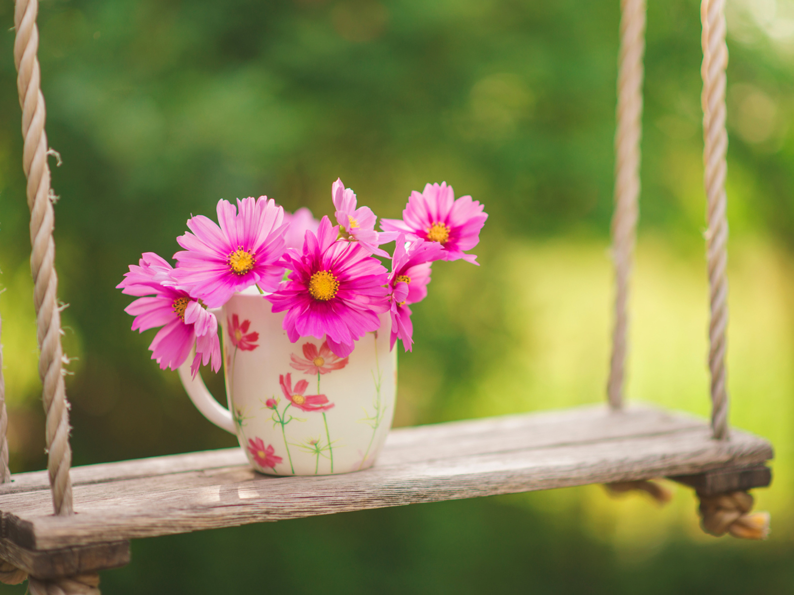 Pink Daisies In Mug wallpaper 1600x1200