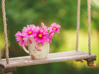 Pink Daisies In Mug wallpaper 320x240