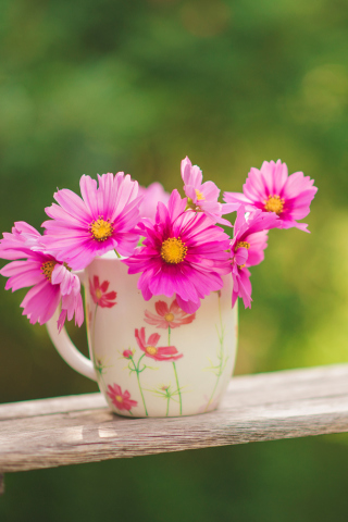 Pink Daisies In Mug wallpaper 320x480