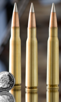 Bullets And Quarter Dollar screenshot #1 240x400