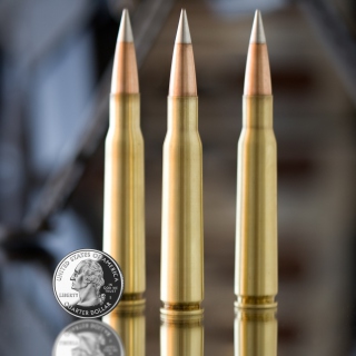 Bullets And Quarter Dollar Picture for iPad