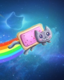 Обои Space Rainbow Cat 128x160