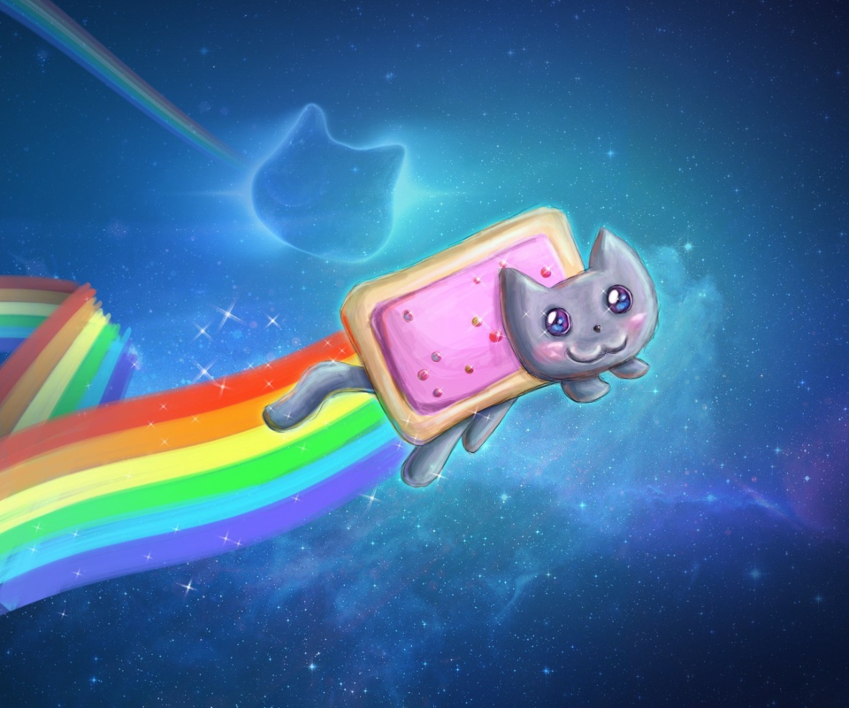 Das Space Rainbow Cat Wallpaper 960x800