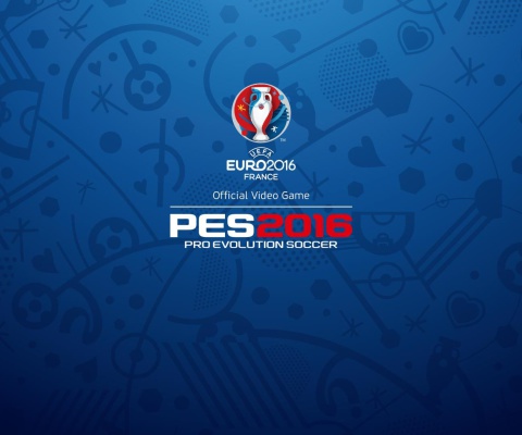 UEFA Euro 2016 in France wallpaper 480x400