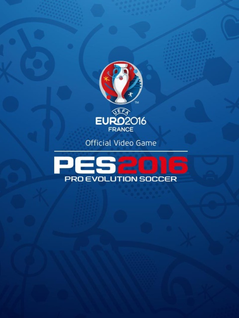 Screenshot №1 pro téma UEFA Euro 2016 in France 480x640
