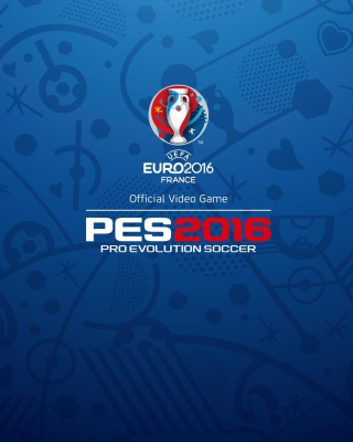 UEFA Euro 2016 in France Picture for 240x320