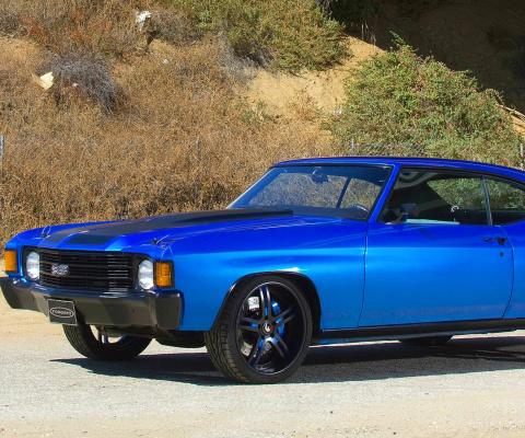 1972 Chevrolet Chevelle SS Coupe screenshot #1 480x400