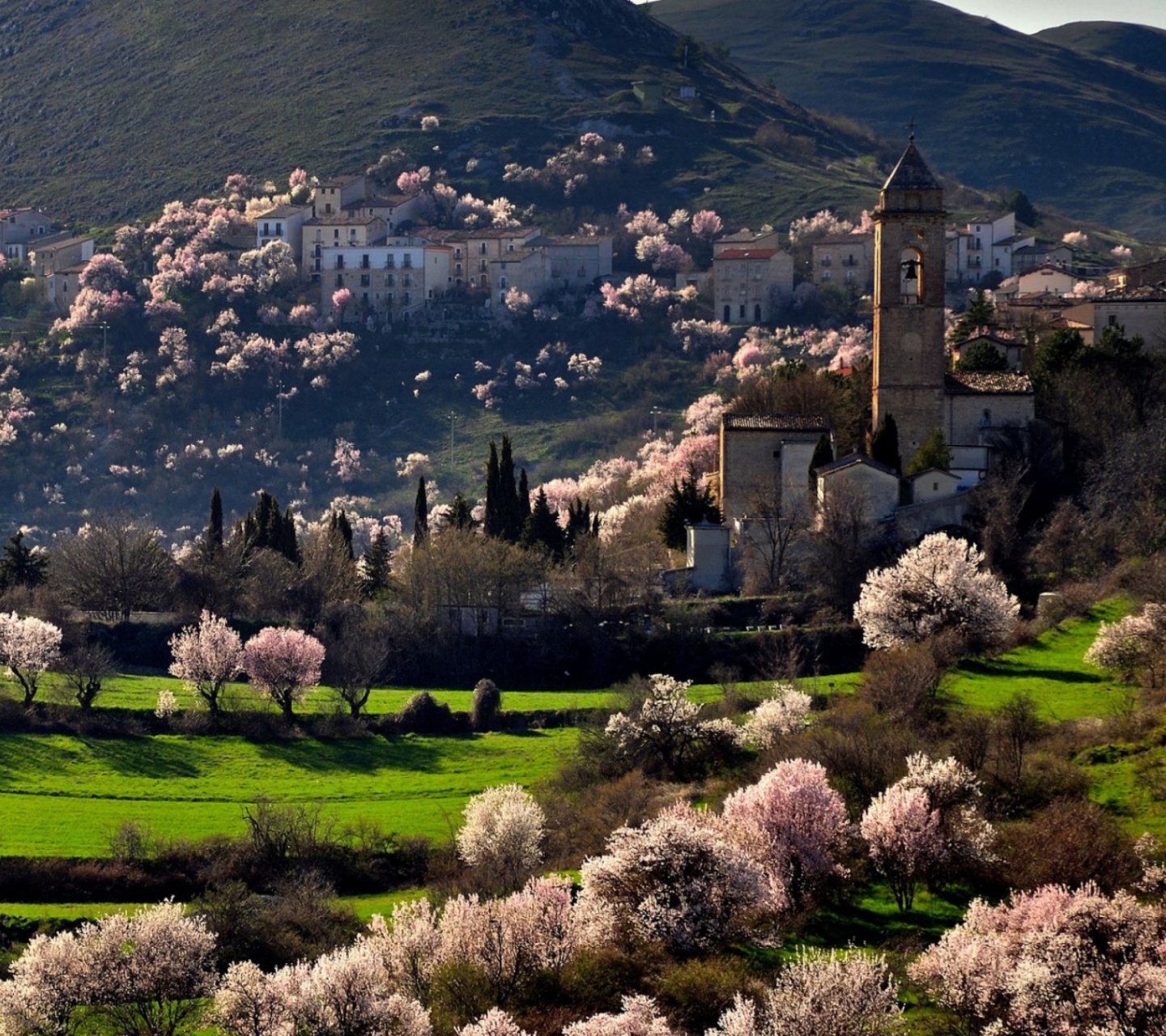 Fondo de pantalla Spring In Italy 1440x1280