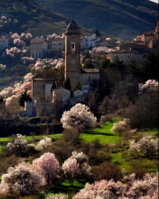 Fondo de pantalla Spring In Italy 176x220