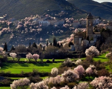 Das Spring In Italy Wallpaper 220x176