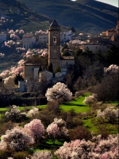 Das Spring In Italy Wallpaper 240x320