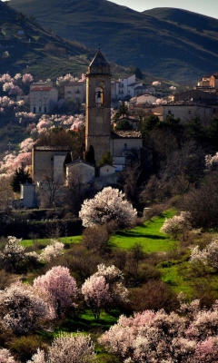 Das Spring In Italy Wallpaper 240x400