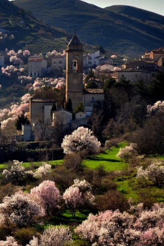 Spring In Italy wallpaper 320x480