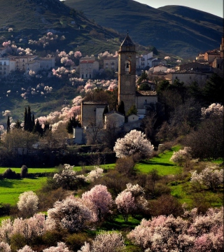 Картинка Spring In Italy на телефон Samsung E1150