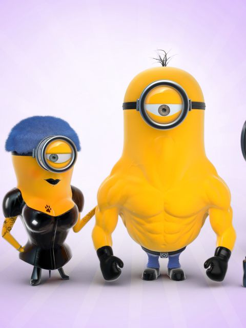 Despicable Me 2 in Gym wallpaper 480x640