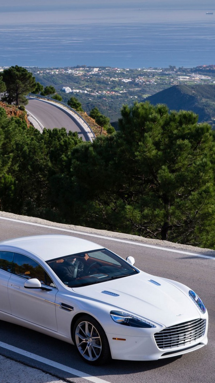 Aston Martin on Highway screenshot #1 750x1334