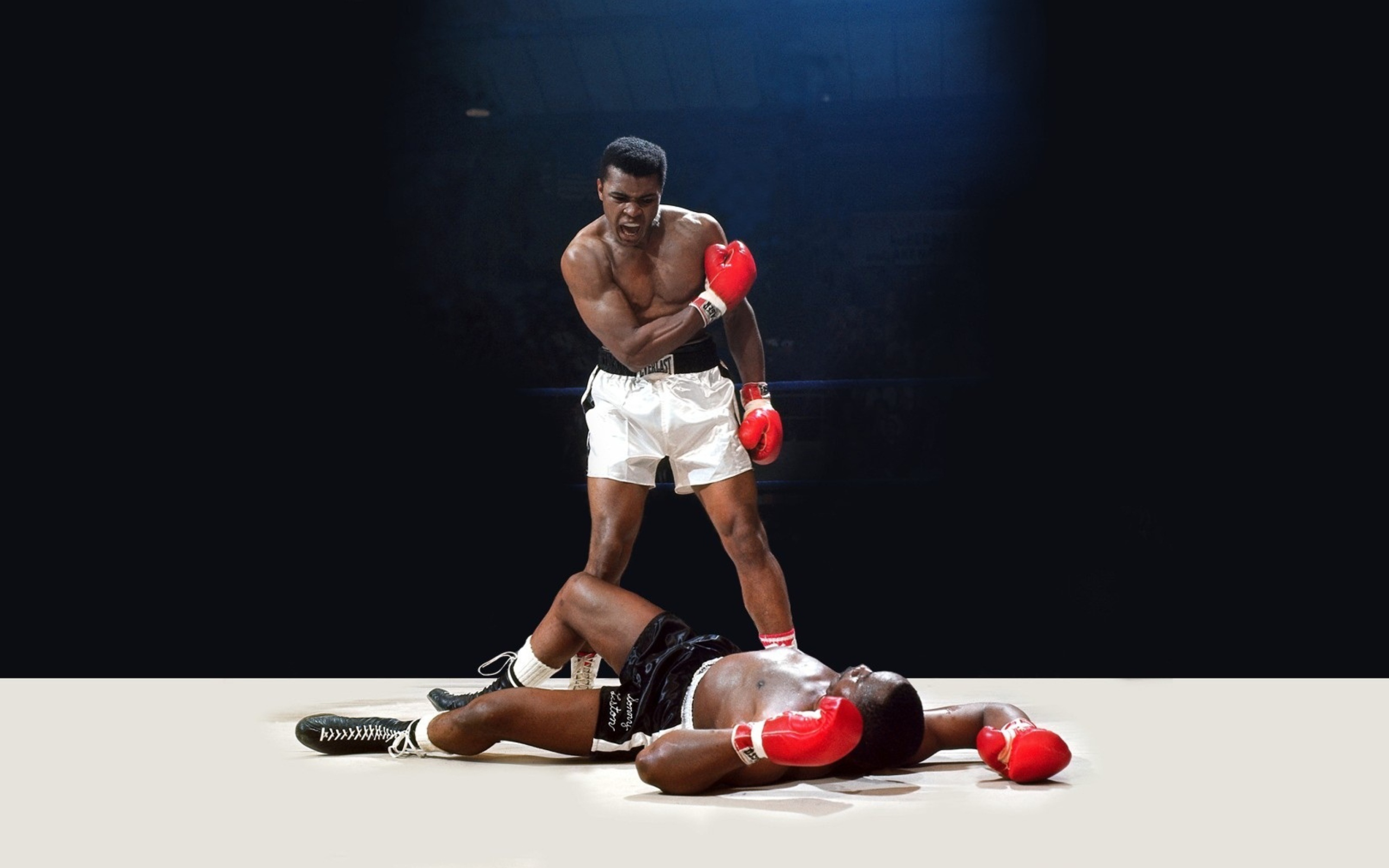 Mohammed Ali Legendary Boxer wallpaper 2560x1600