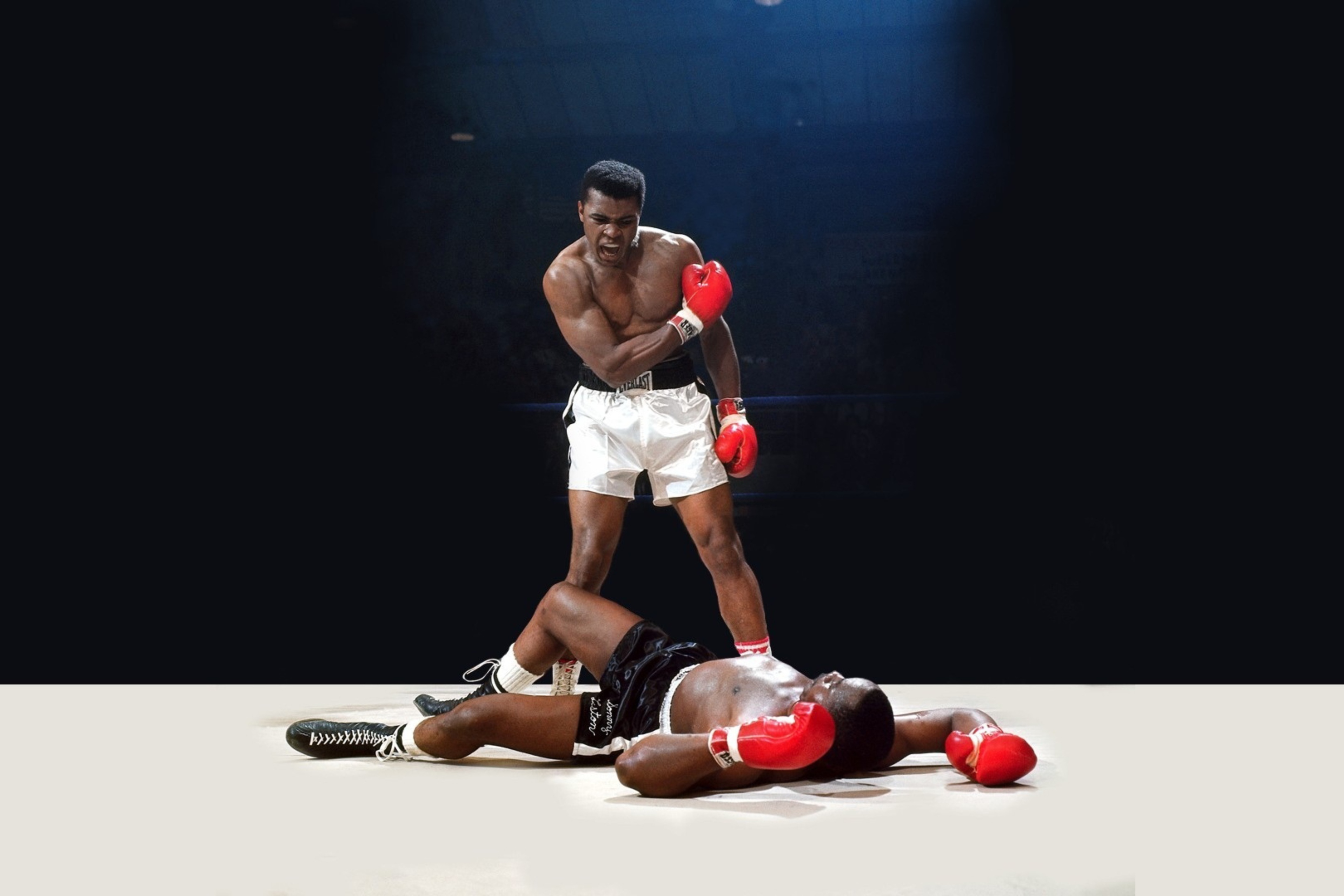 Fondo de pantalla Mohammed Ali Legendary Boxer 2880x1920