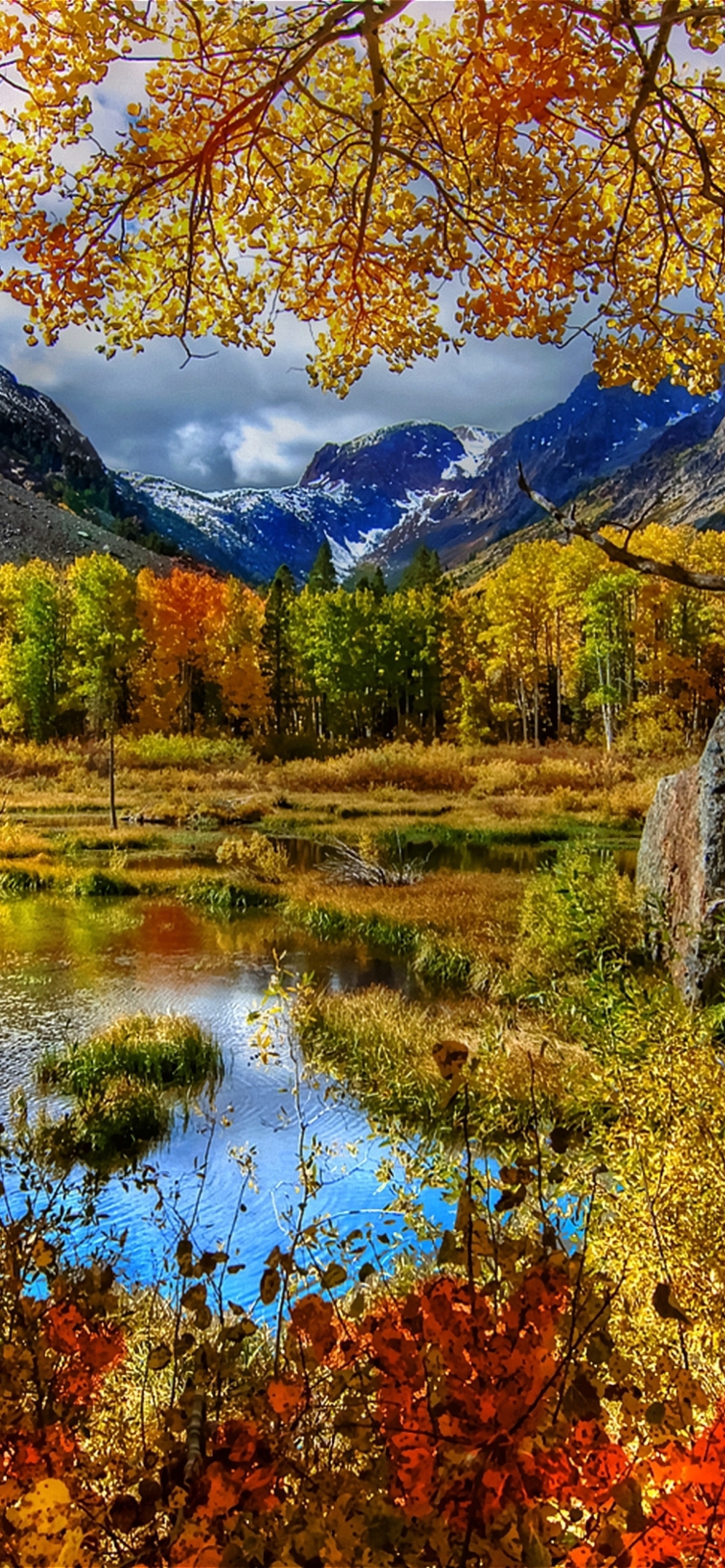 Amazing Autumn Scenery screenshot #1 1170x2532