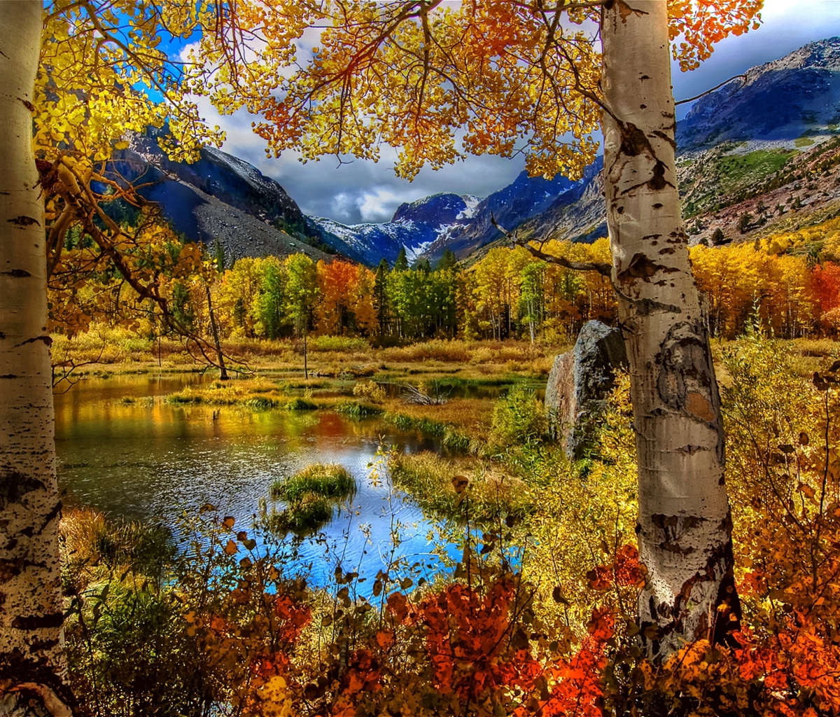 Amazing Autumn Scenery wallpaper 1200x1024