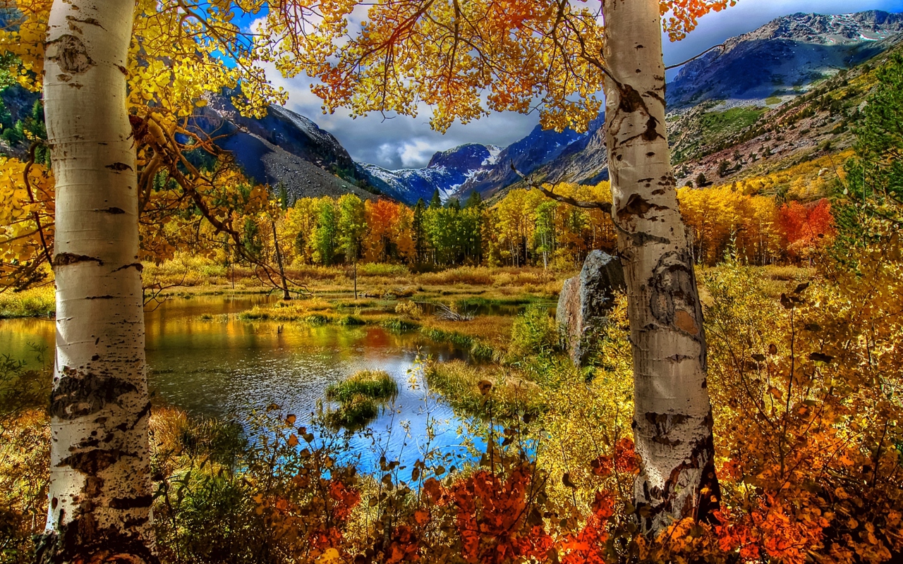 Das Amazing Autumn Scenery Wallpaper 1280x800