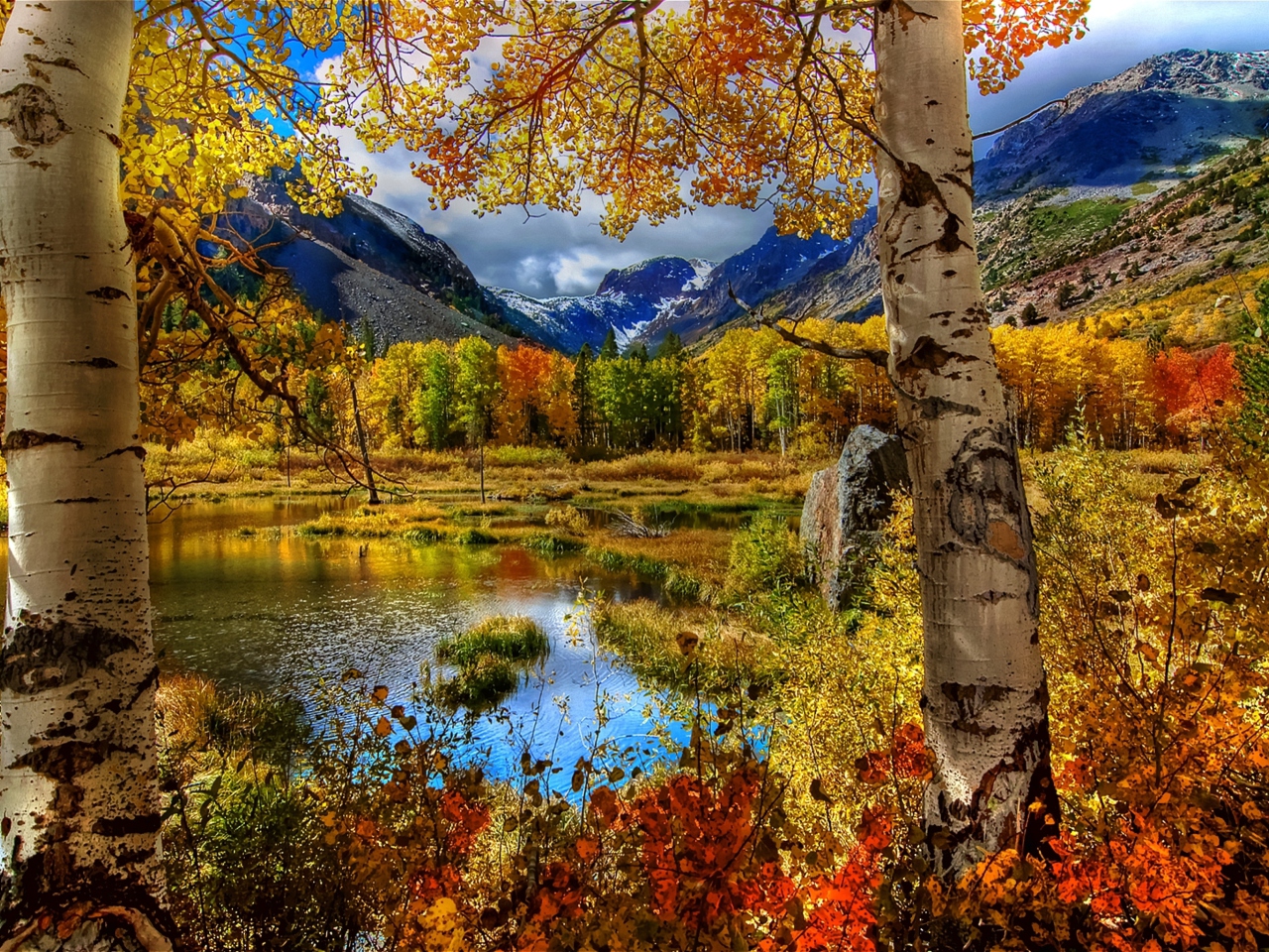 Das Amazing Autumn Scenery Wallpaper 1280x960