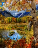 Amazing Autumn Scenery wallpaper 128x160