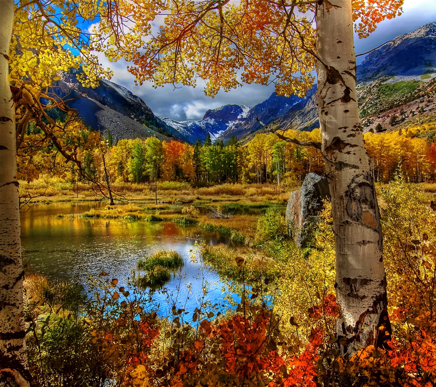 Fondo de pantalla Amazing Autumn Scenery 1440x1280