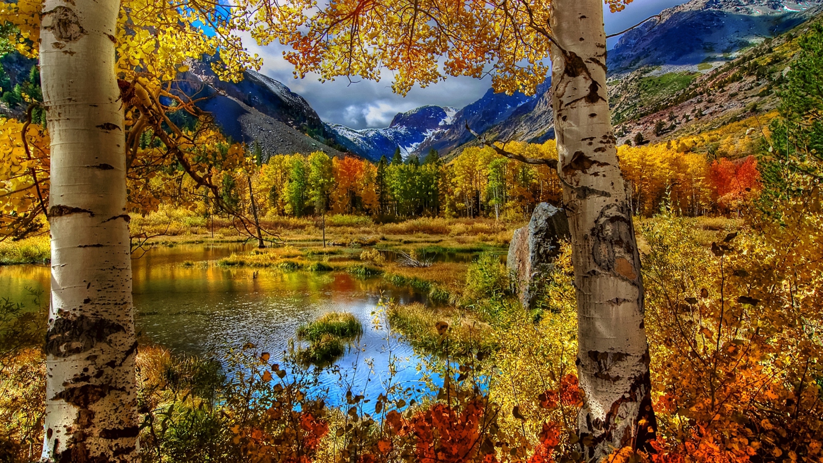 Das Amazing Autumn Scenery Wallpaper 1600x900