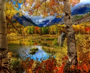Обои Amazing Autumn Scenery 176x144