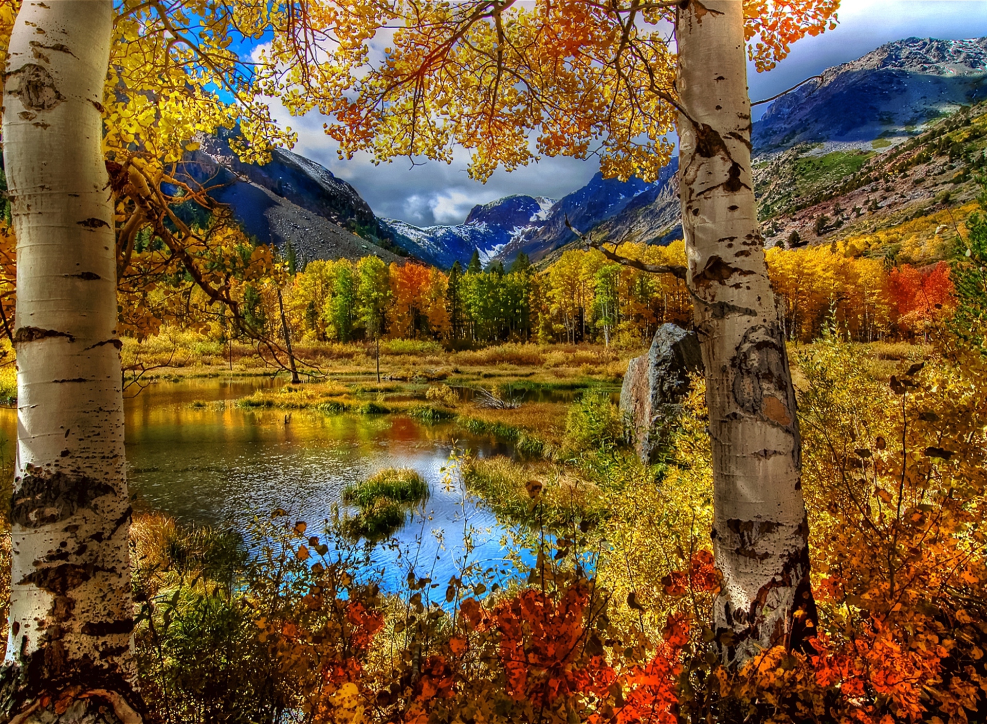 Das Amazing Autumn Scenery Wallpaper 1920x1408