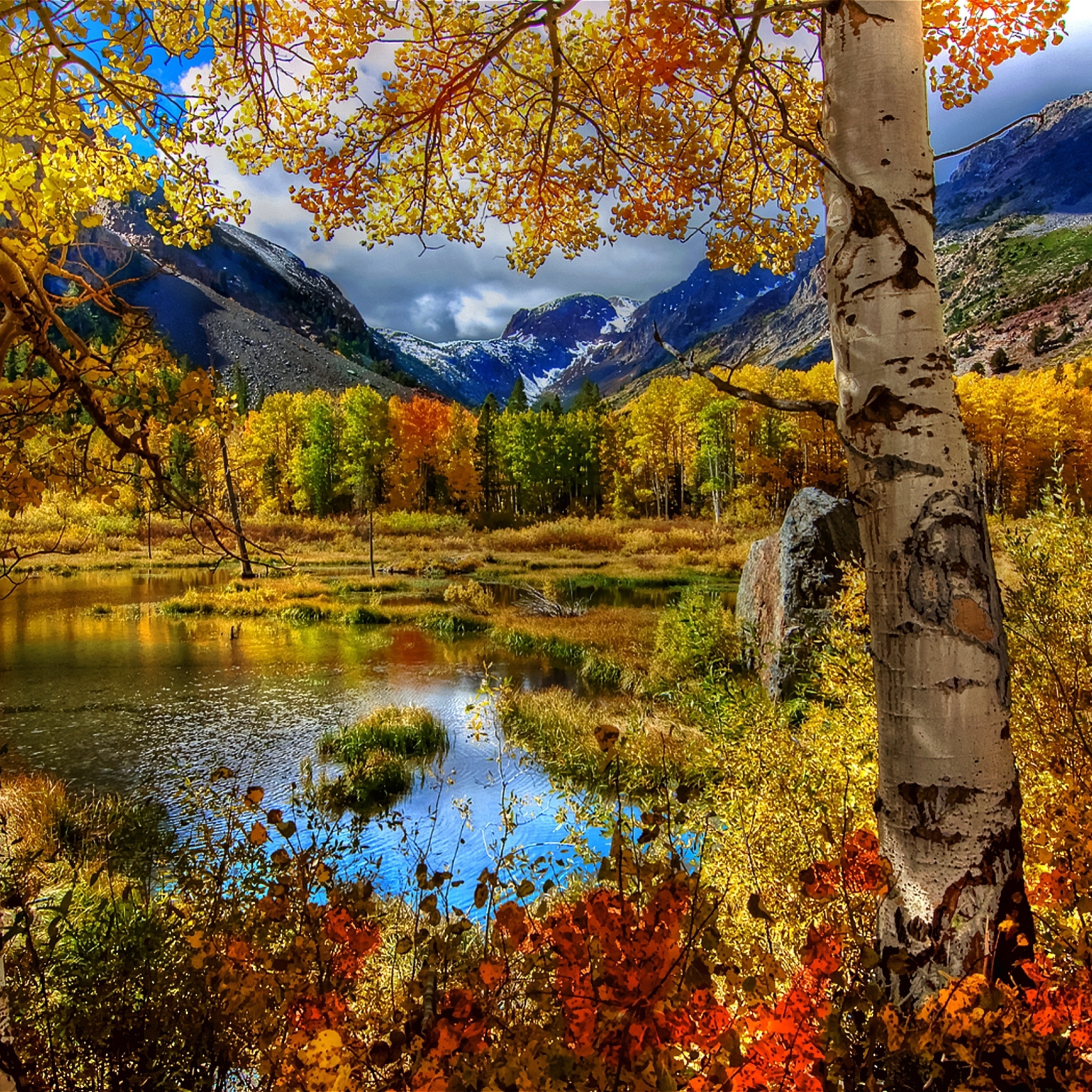 Das Amazing Autumn Scenery Wallpaper 2048x2048