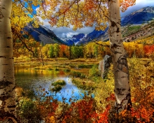 Das Amazing Autumn Scenery Wallpaper 220x176